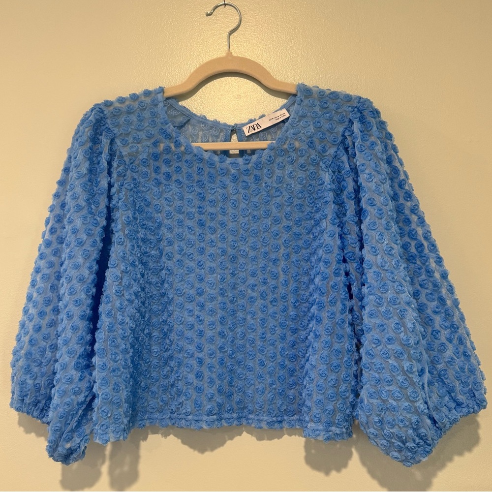 Zara sheer bishop sleeve blouse with flower appliqué